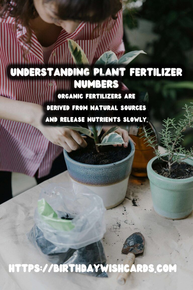 Understanding Plant Fertilizer Numbers: A Guide to Organic Options