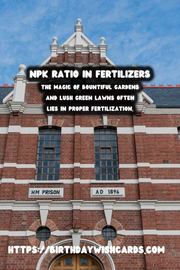 Understanding Plant Fertilizer Numbers: NPK Explained