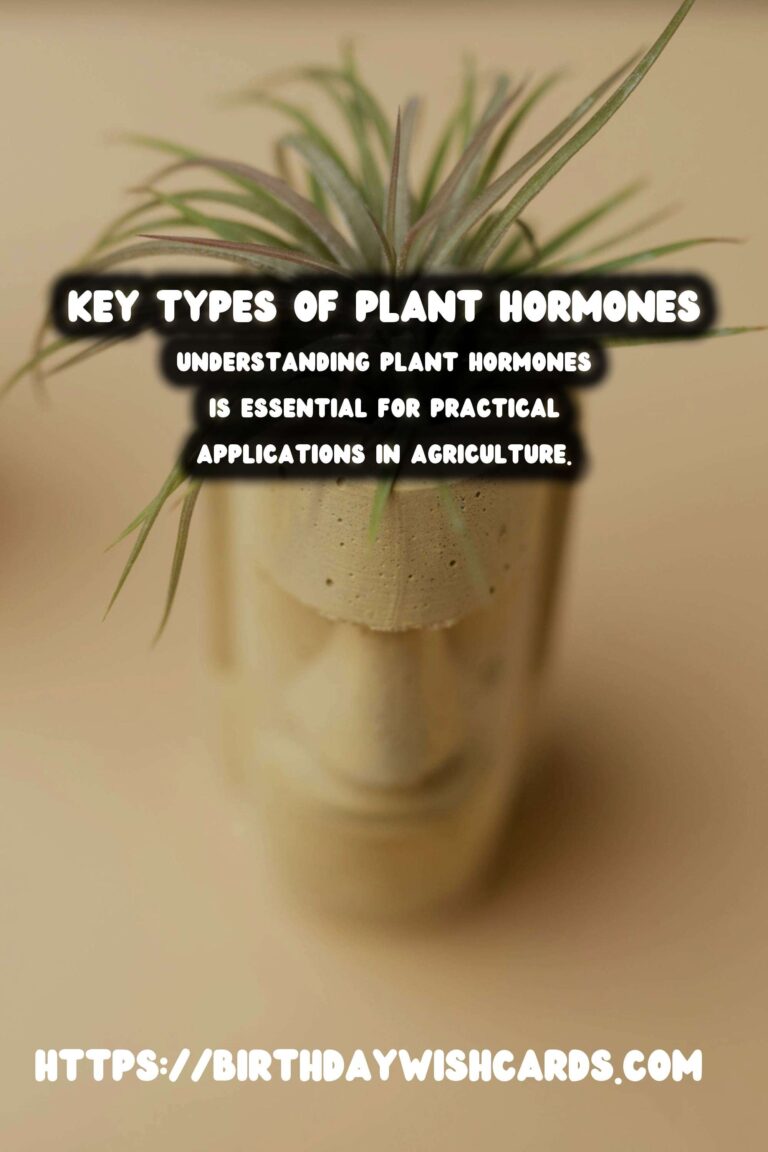 Understanding Plant Hormones: How They Work