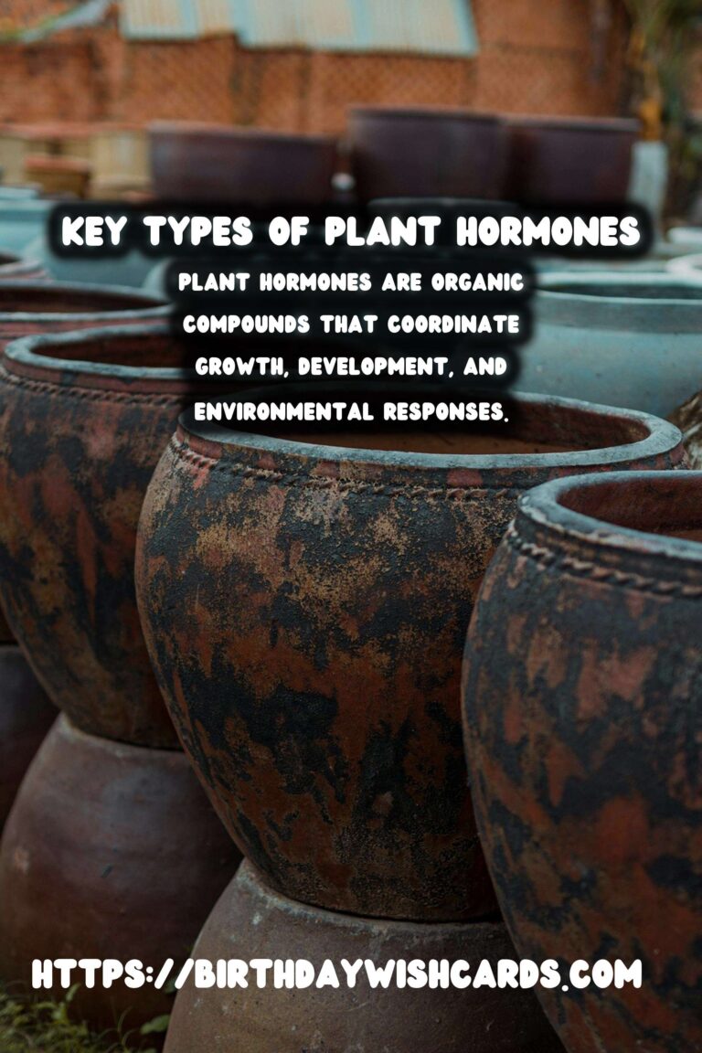 Understanding Plant Hormones: How They Work