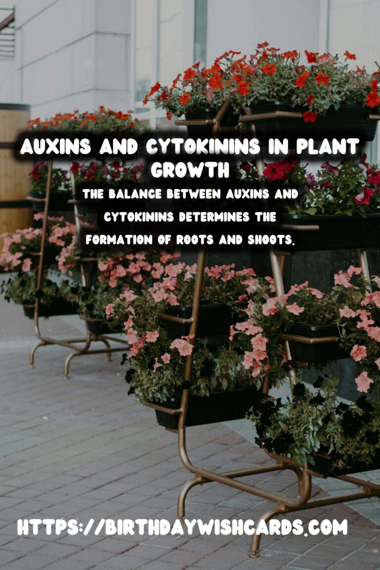 Understanding Plant Hormones: The Role of Auxins & Cytokinins