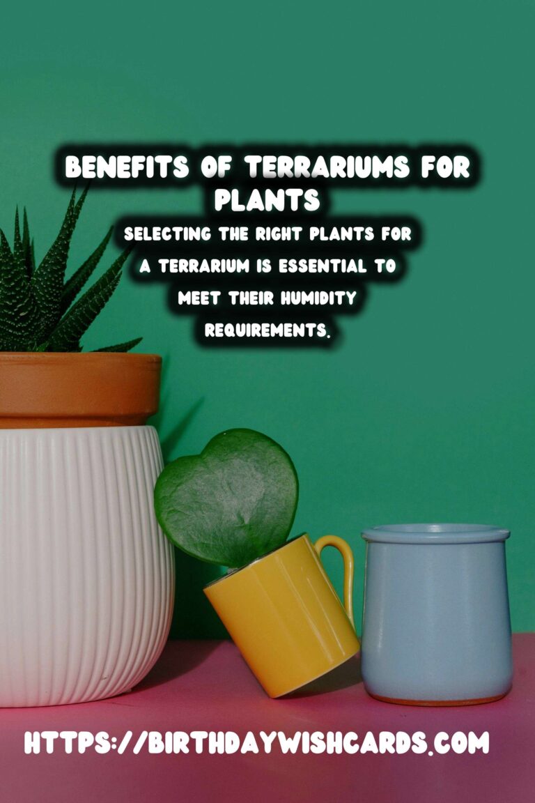 Understanding Plant Humidity: Exploring Terrarium Benefits