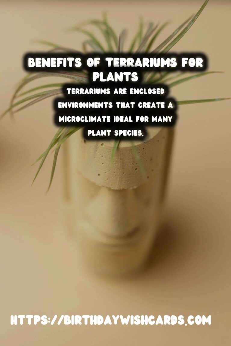 Understanding Plant Humidity: Exploring Terrarium Benefits