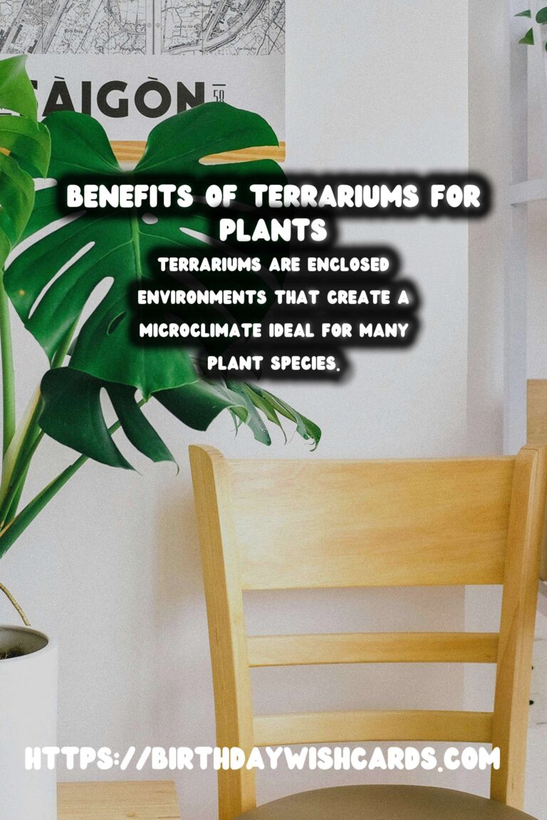 Understanding Plant Humidity: Exploring Terrarium Benefits