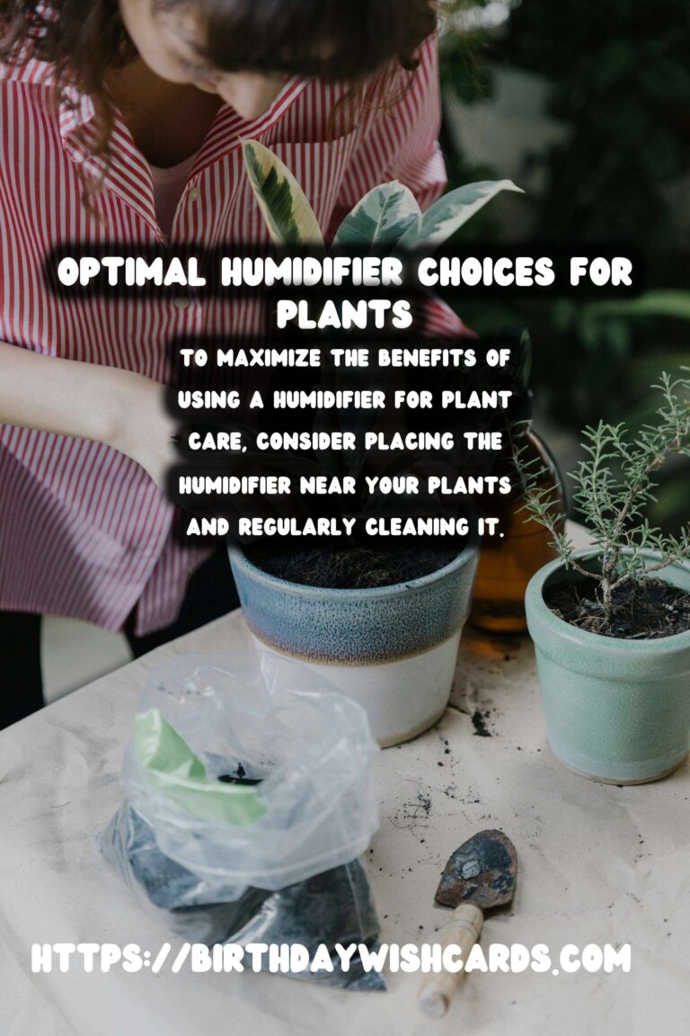 Understanding Plant Humidity: Optimal Humidifier Choices for Thriving Indoor Gardens
