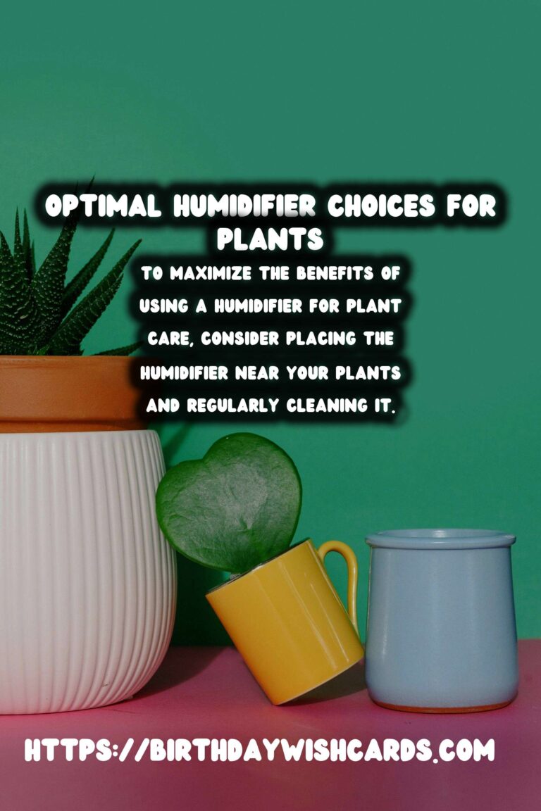 Understanding Plant Humidity: Optimal Humidifier Choices for Thriving Indoor Gardens