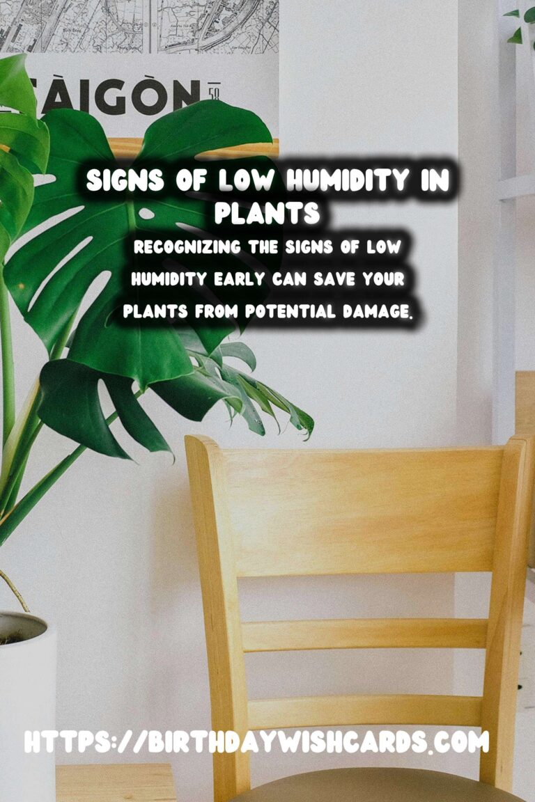 Understanding Plant Humidity: Recognizing Signs of Low Humidity in Plants