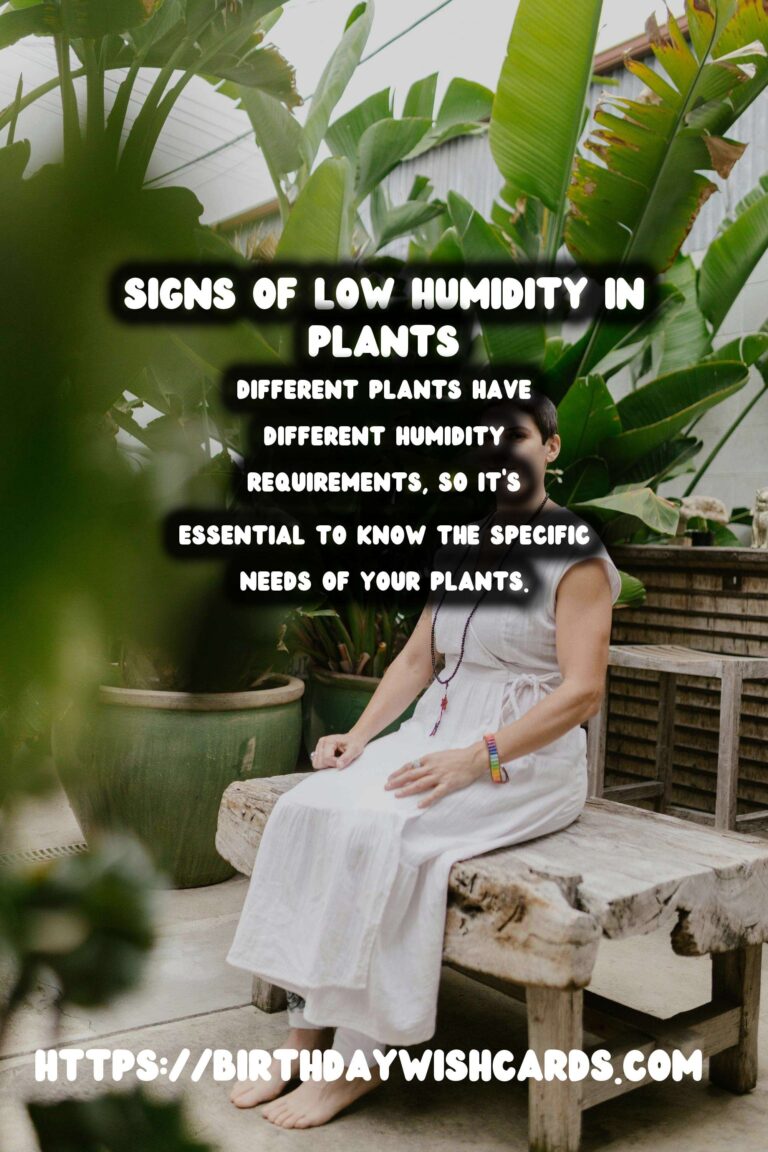 Understanding Plant Humidity: Recognizing Signs of Low Humidity in Plants
