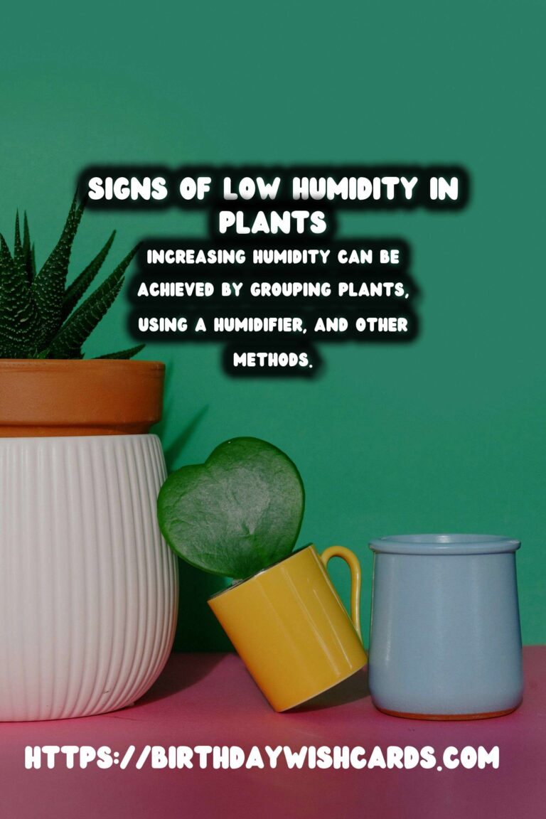 Understanding Plant Humidity: Recognizing Signs of Low Humidity in Plants