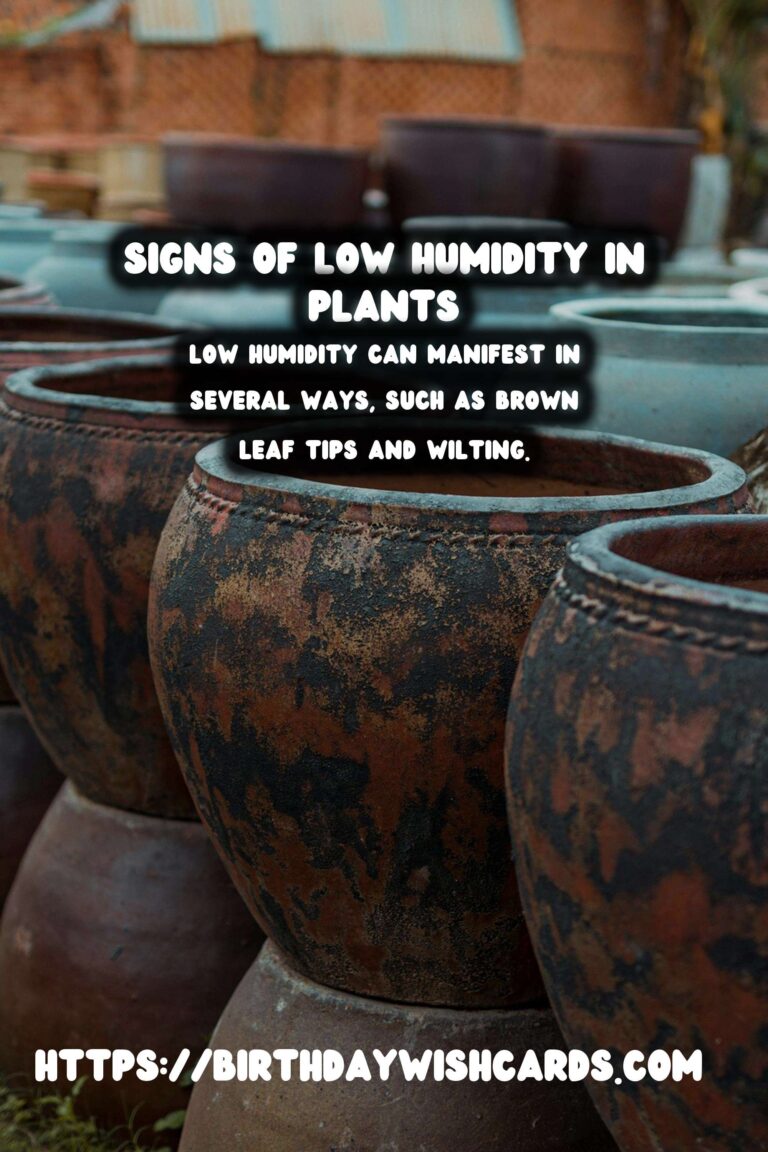 Understanding Plant Humidity: Recognizing Signs of Low Humidity in Plants