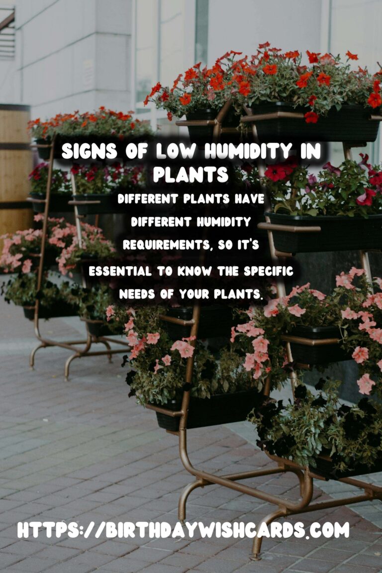 Understanding Plant Humidity: Recognizing Signs of Low Humidity in Plants