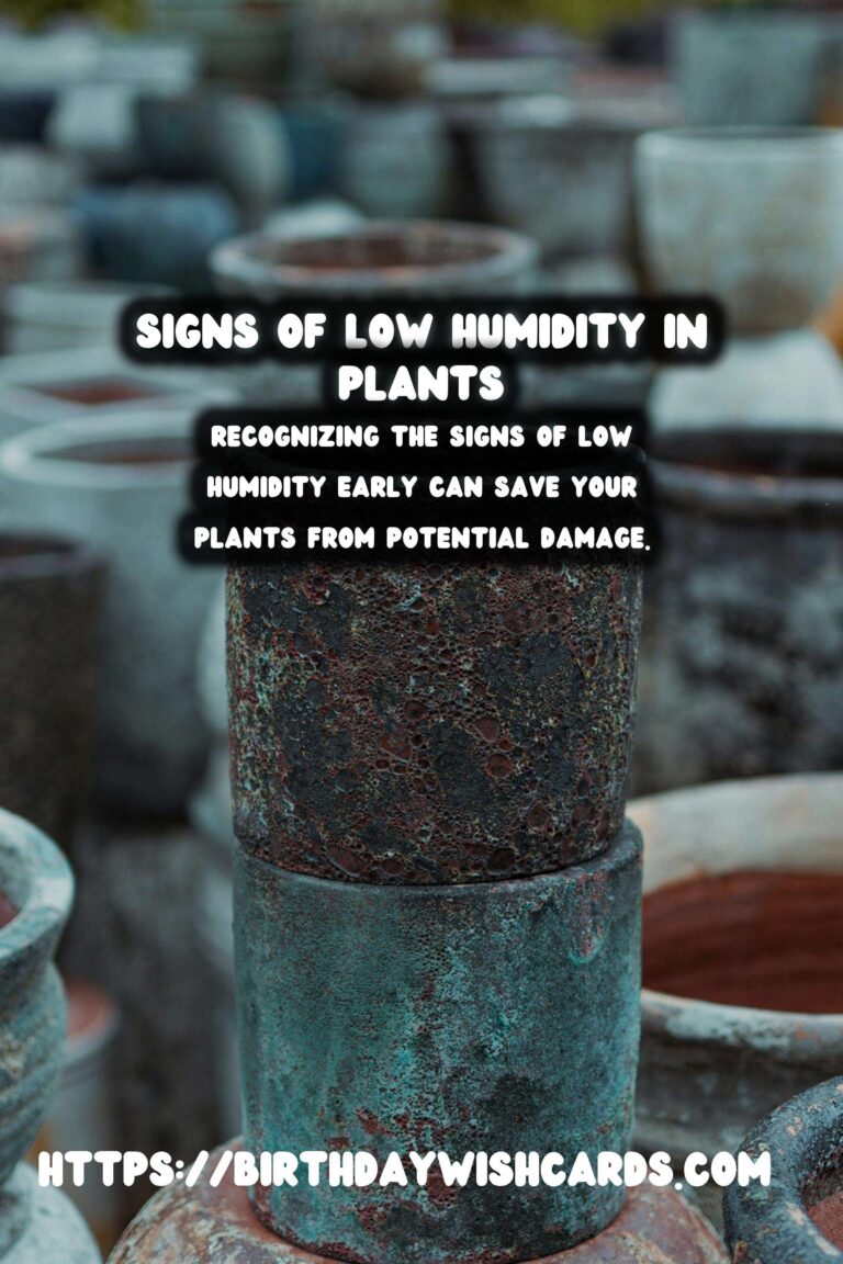 Understanding Plant Humidity: Recognizing Signs of Low Humidity in Plants