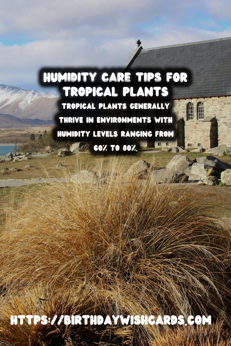 Understanding Plant Humidity: Tips for Tropical Plants