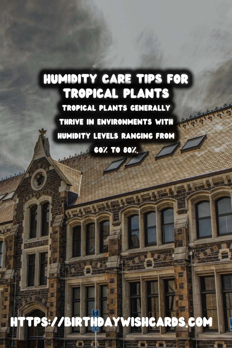 Understanding Plant Humidity: Tips for Tropical Plants