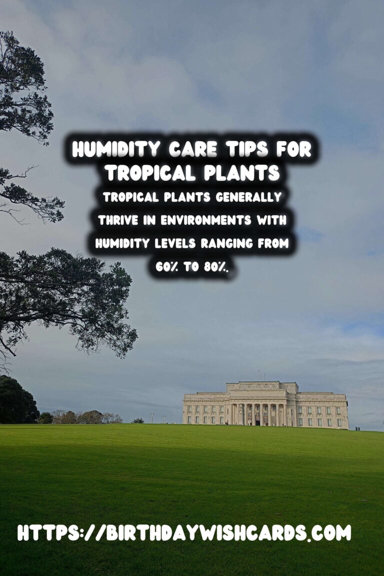 Understanding Plant Humidity: Tips for Tropical Plants