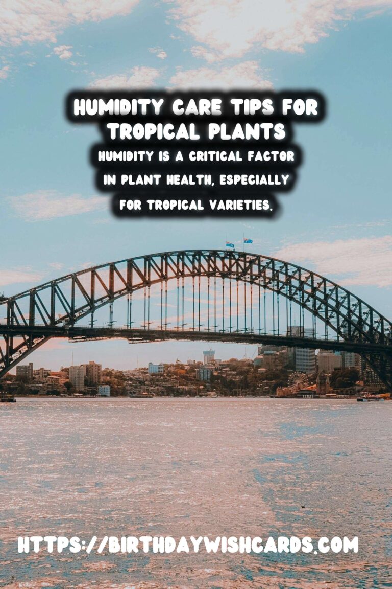 Understanding Plant Humidity: Tips for Tropical Plants