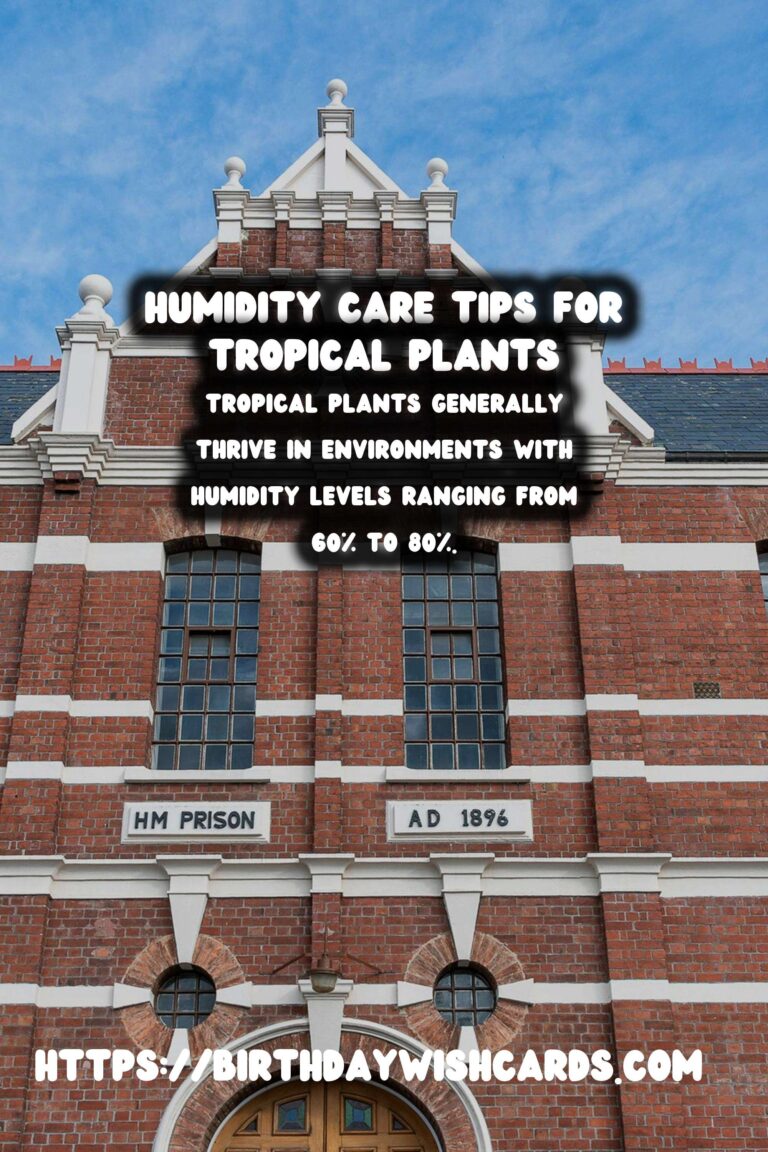 Understanding Plant Humidity: Tips for Tropical Plants