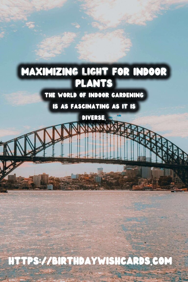 Understanding Plant Light Requirements: A Comprehensive Guide