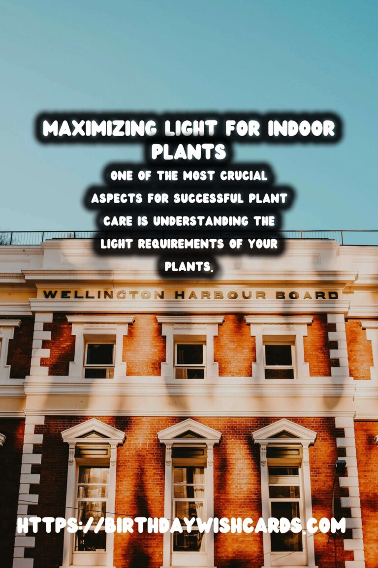 Understanding Plant Light Requirements: A Comprehensive Guide