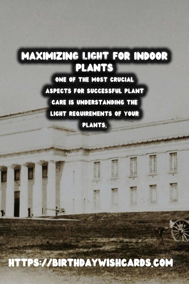Understanding Plant Light Requirements: A Comprehensive Guide