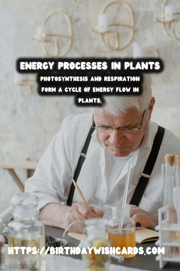 Understanding Plant Metabolism: Energy Processes Explained
