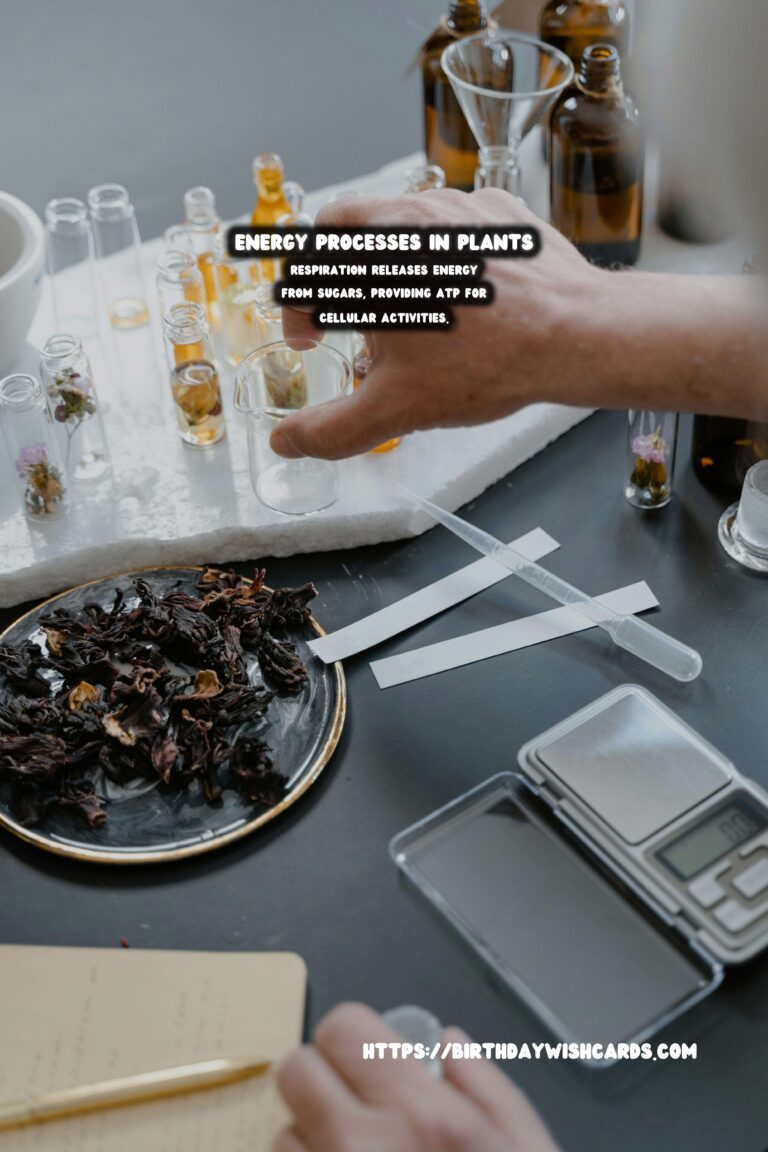 Understanding Plant Metabolism: Energy Processes Explained