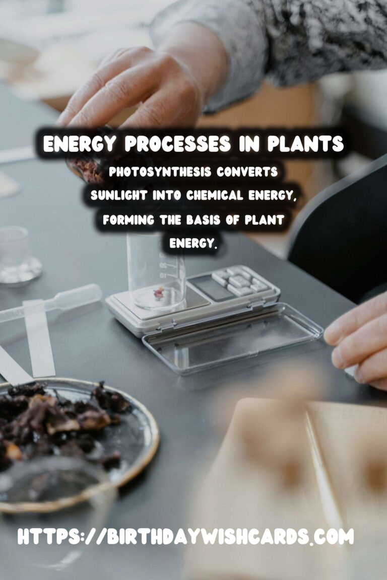 Understanding Plant Metabolism: Energy Processes Explained