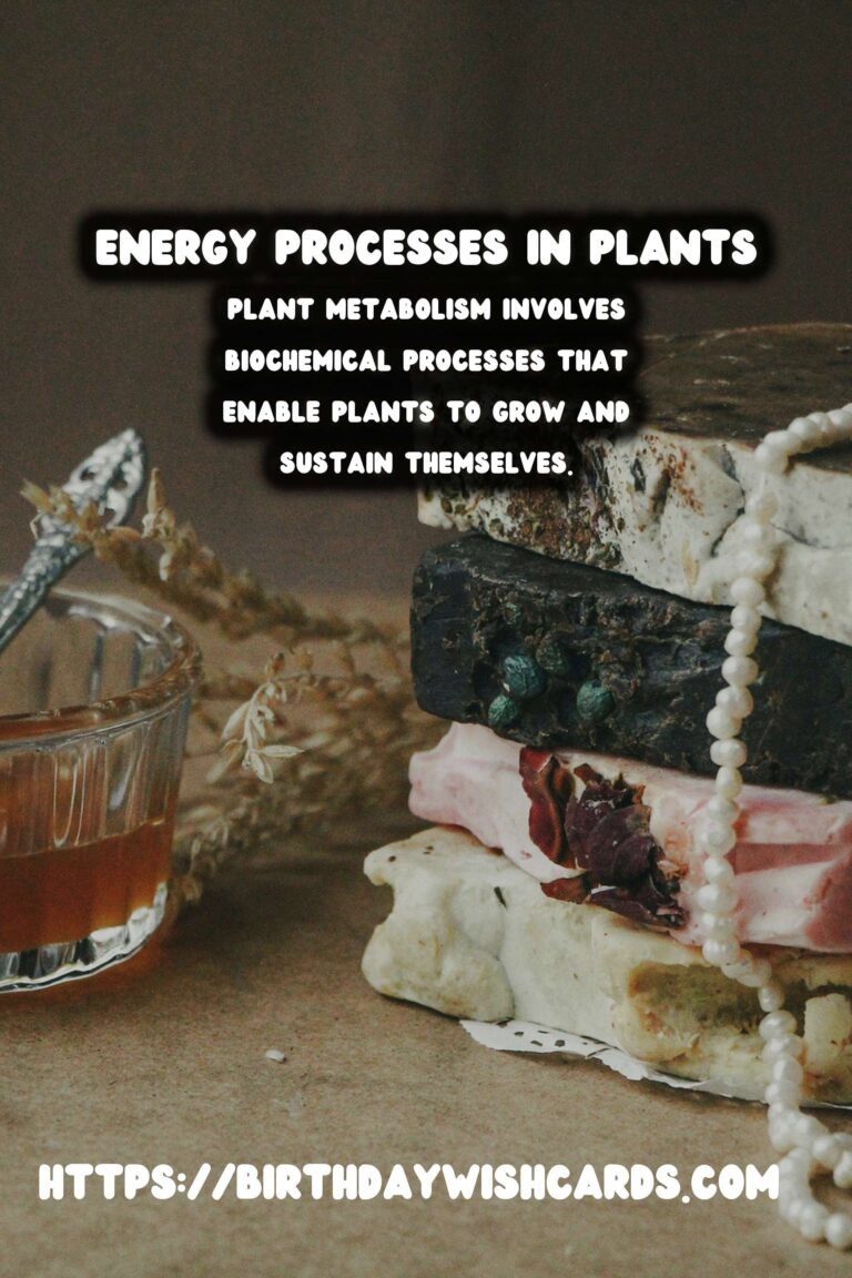 Understanding Plant Metabolism: Energy Processes Explained