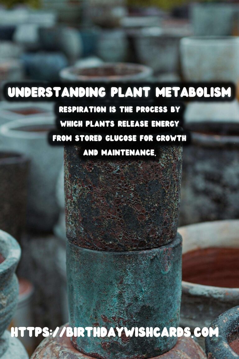 Understanding Plant Metabolism: Exploring the Overall Process