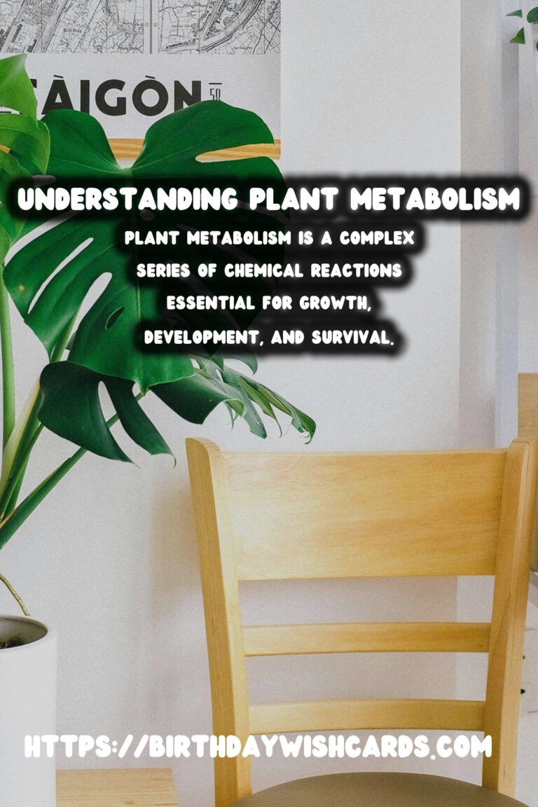Understanding Plant Metabolism: Exploring the Overall Process