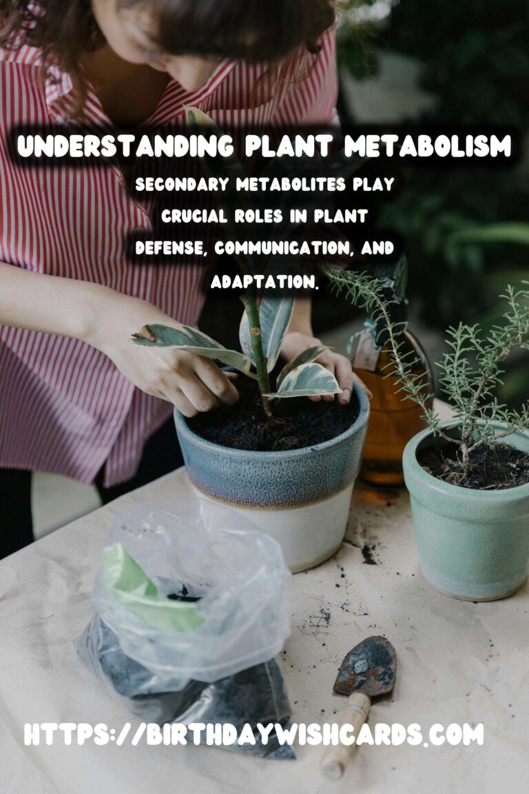 Understanding Plant Metabolism: Exploring the Overall Process