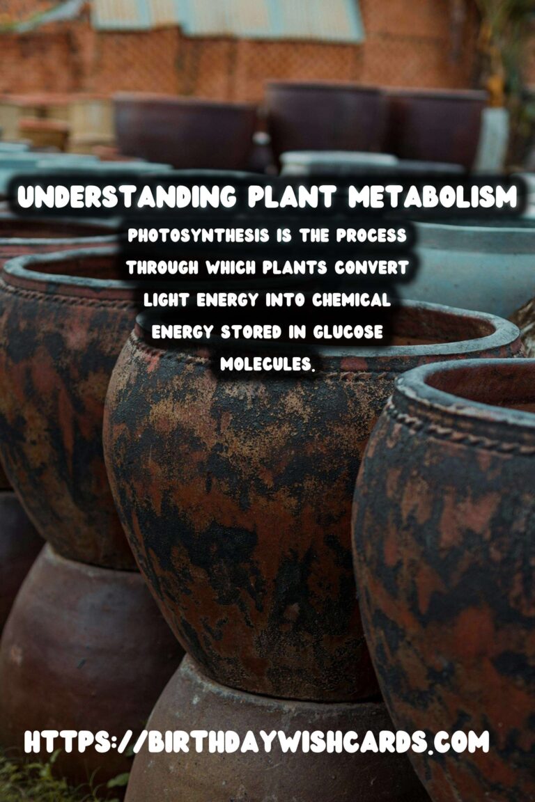 Understanding Plant Metabolism: Exploring the Overall Process