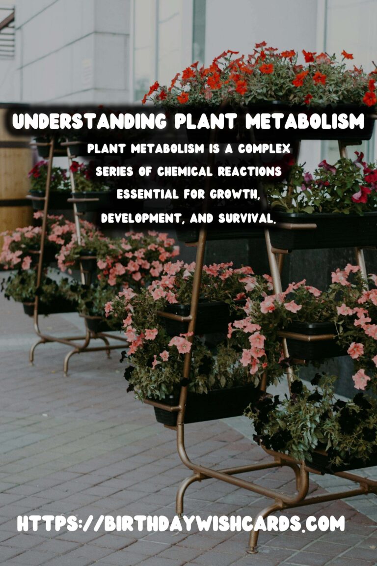 Understanding Plant Metabolism: Exploring the Overall Process