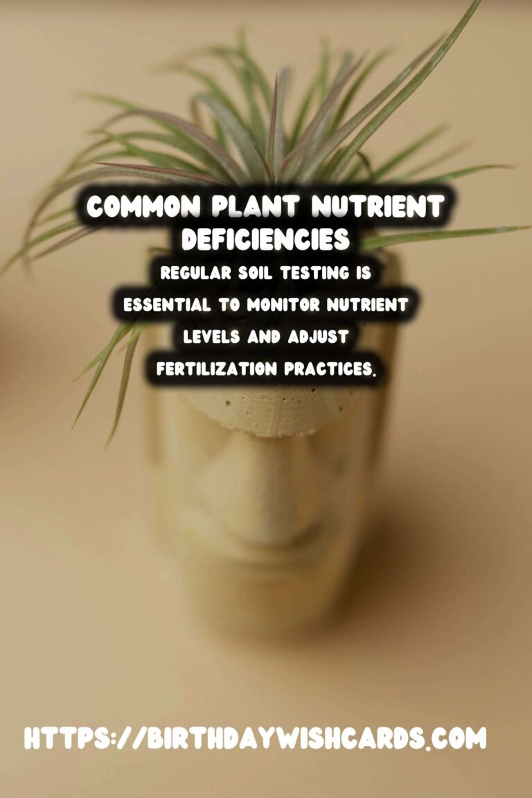 Understanding Plant Nutrients: Common Deficiencies and How to Address Them