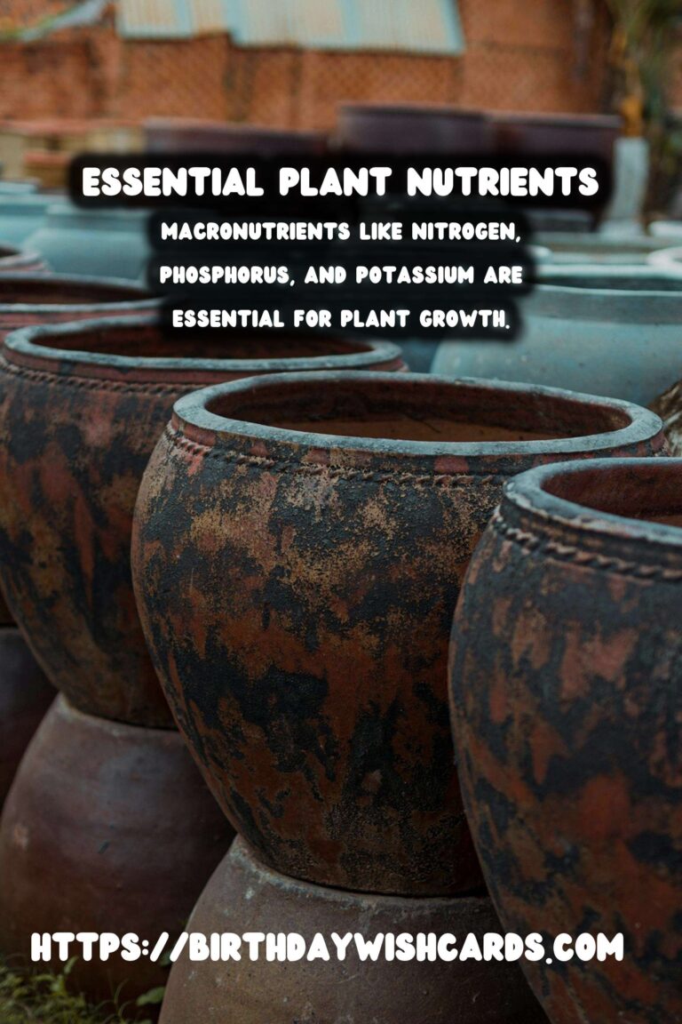 Understanding Plant Nutrients: How to Fertilize for Optimal Growth
