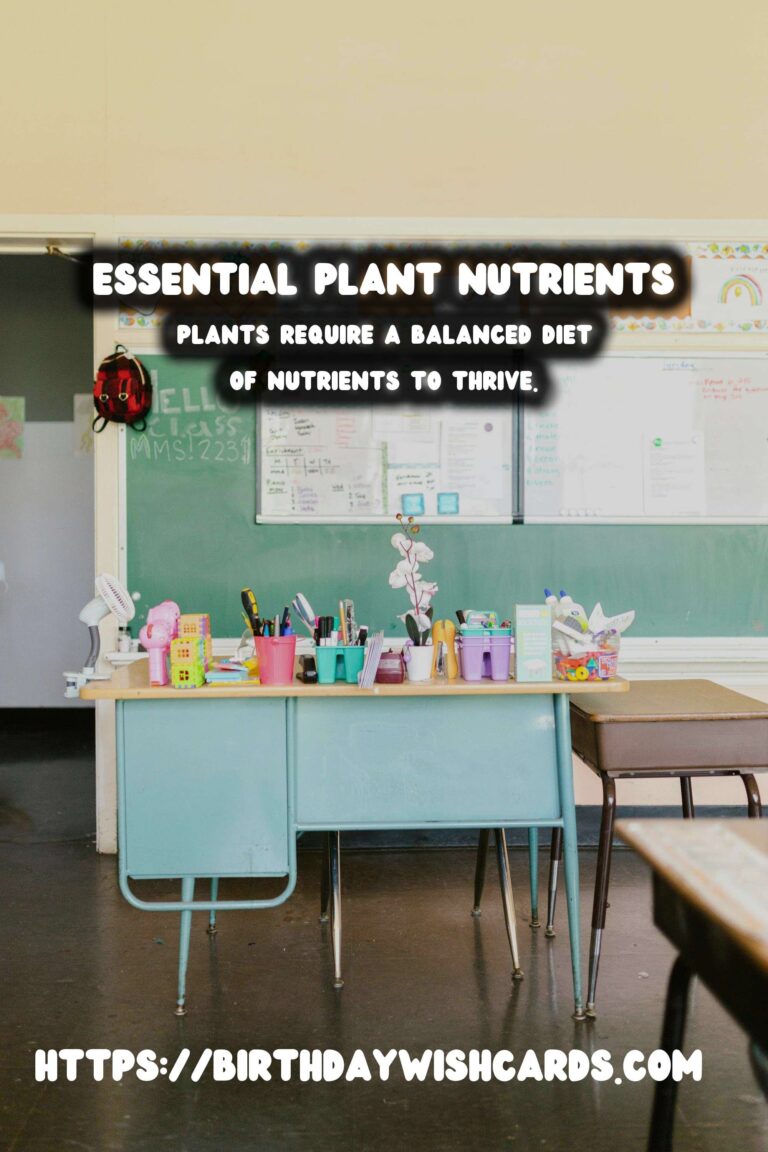 Understanding Plant Nutrients: How to Fertilize for Optimal Growth