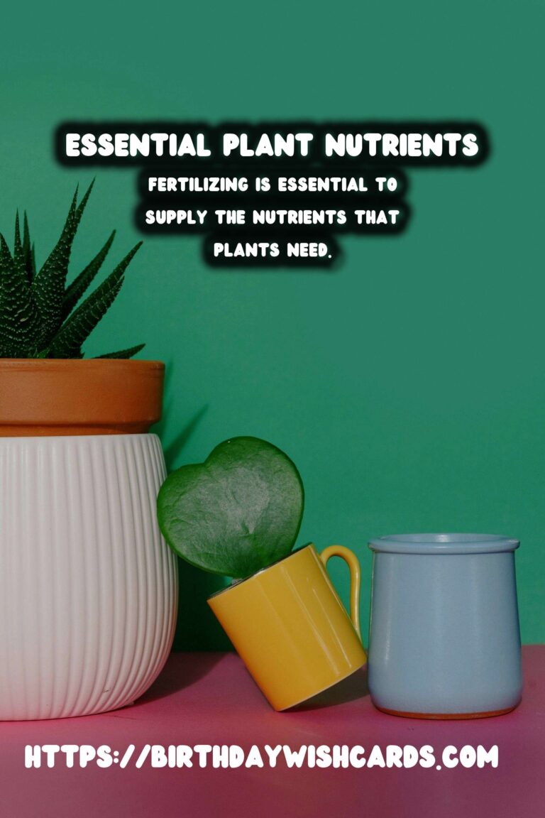 Understanding Plant Nutrients: How to Fertilize for Optimal Growth