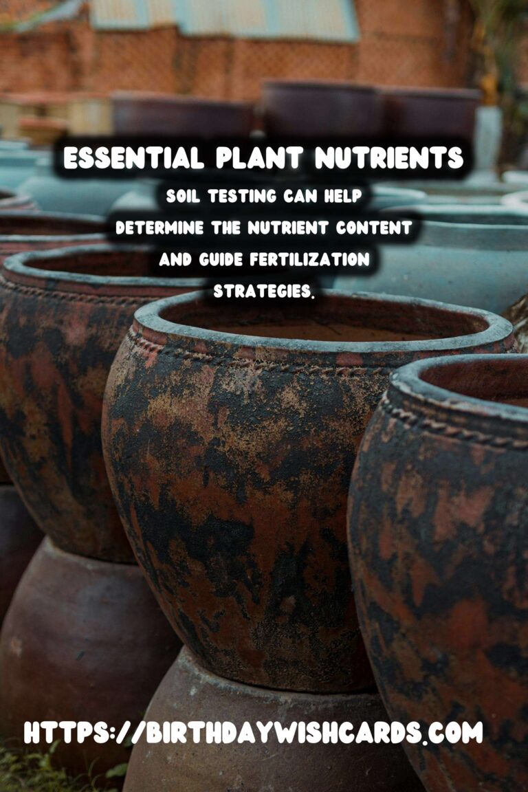 Understanding Plant Nutrients: Macro vs. Micro for Optimal Growth