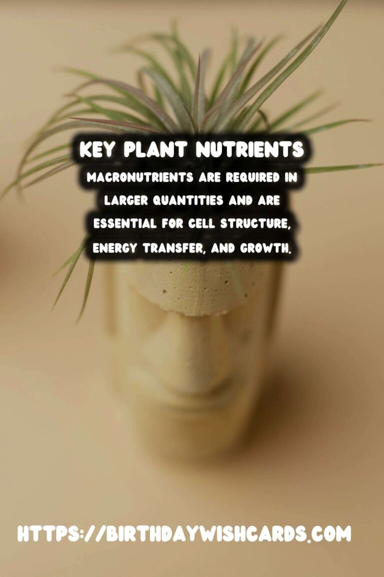 Understanding Plant Nutrients: Macronutrients & Micronutrients for Optimal Growth
