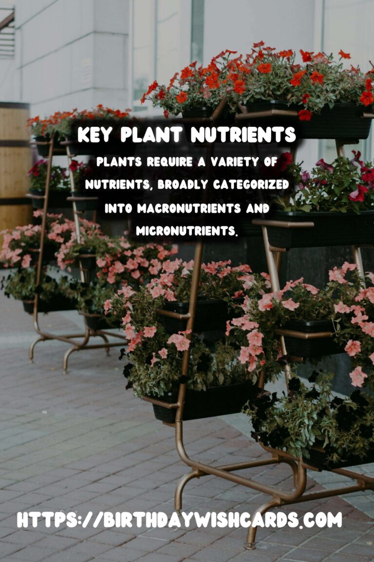 Understanding Plant Nutrients: Macronutrients & Micronutrients for Optimal Growth