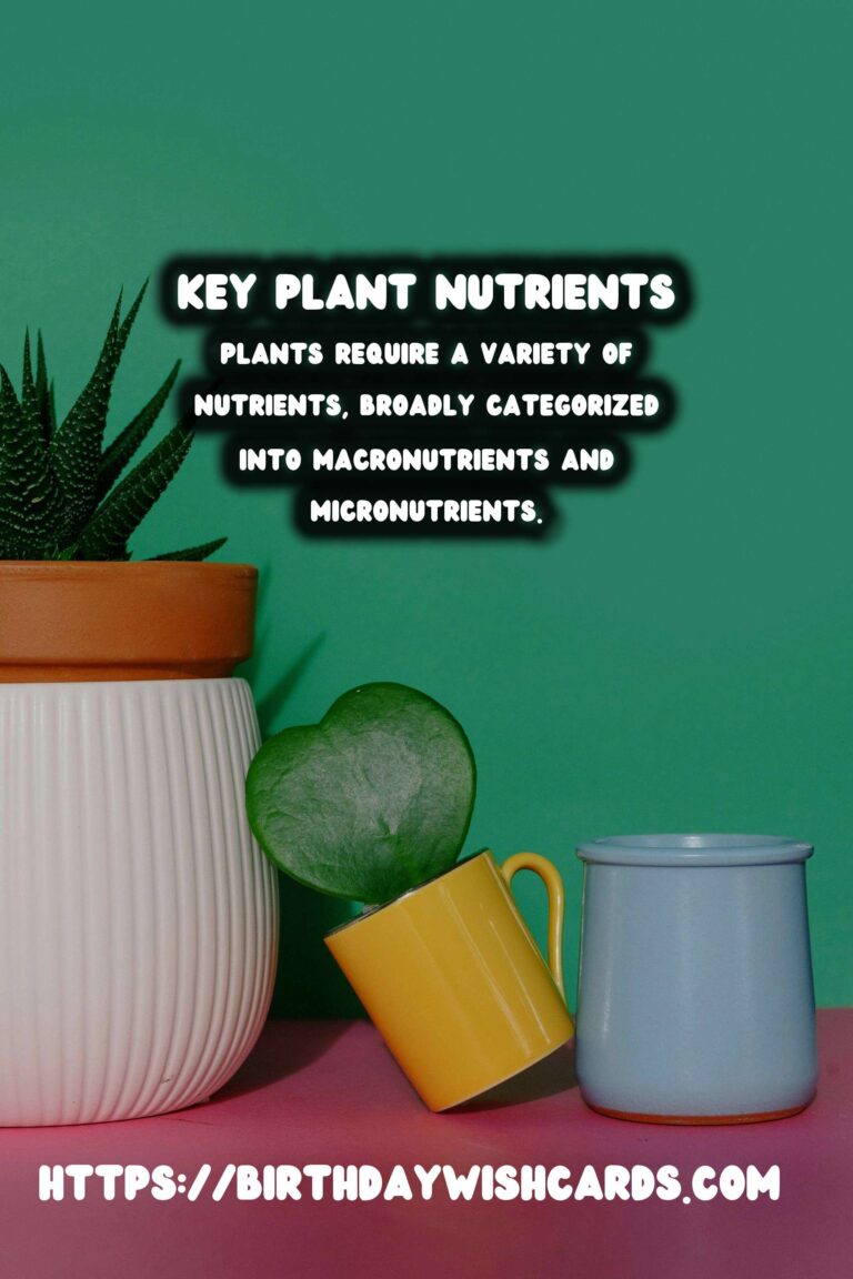 Understanding Plant Nutrients: Macronutrients & Micronutrients for Optimal Growth