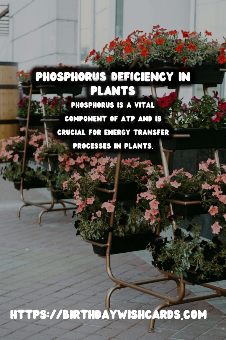 Understanding Plant Nutrients: Phosphorus Deficiency