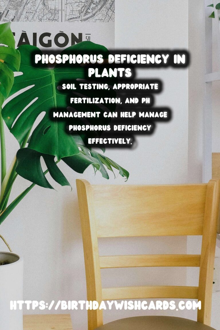 Understanding Plant Nutrients: Phosphorus Deficiency