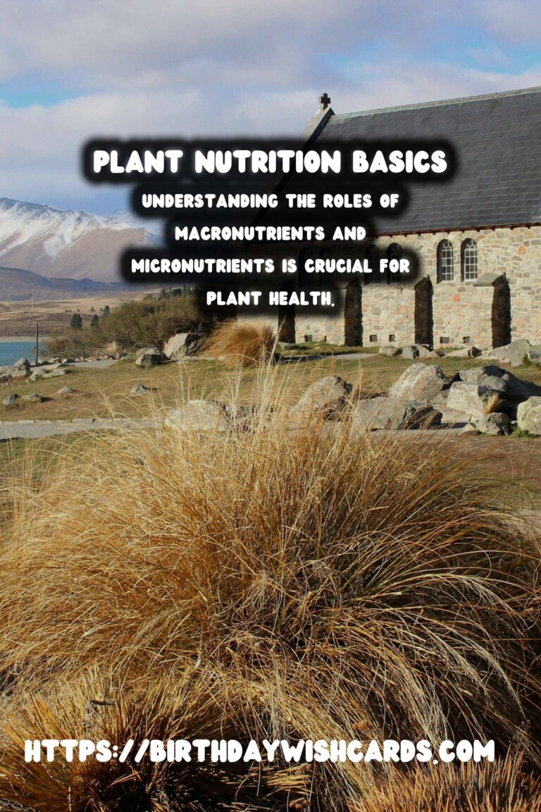 Understanding Plant Nutrition: Macronutrients & Micronutrients