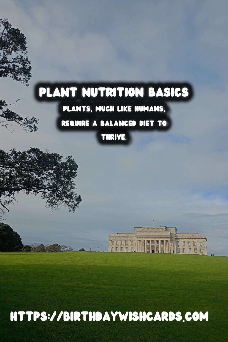 Understanding Plant Nutrition: Macronutrients & Micronutrients