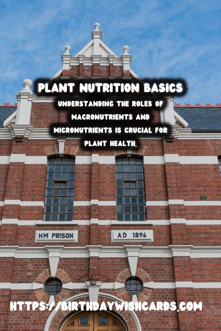 Understanding Plant Nutrition: Macronutrients & Micronutrients