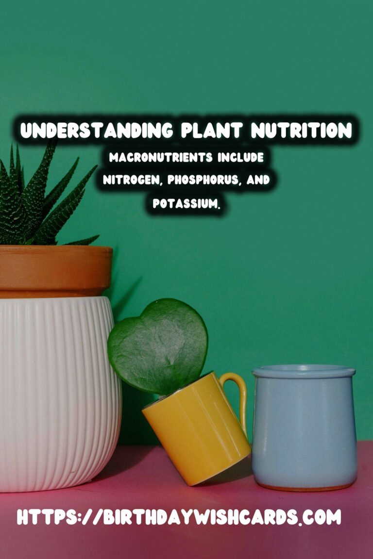 Understanding Plant Nutrition: Micro & Macronutrients