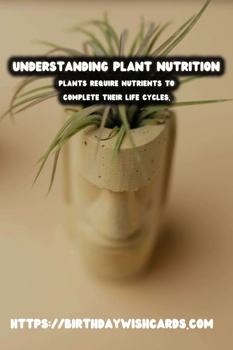 Understanding Plant Nutrition: Micro & Macronutrients