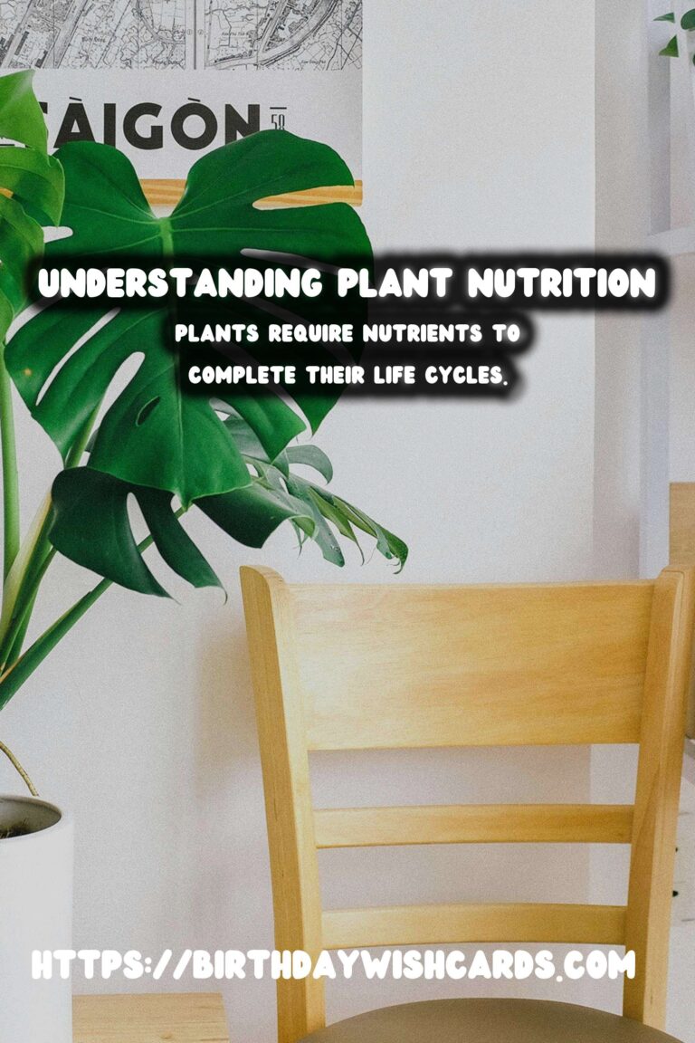 Understanding Plant Nutrition: Micro & Macronutrients