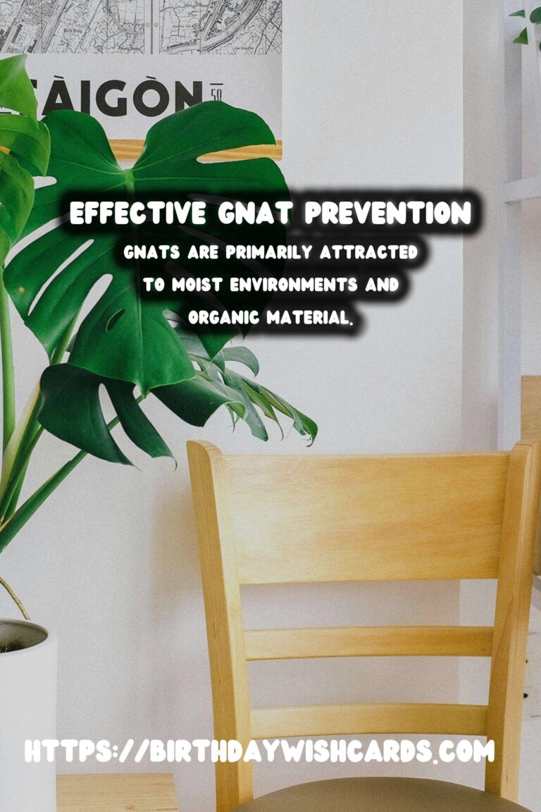 Understanding Plant Pests: Effective Gnat Prevention Strategies